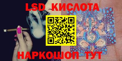 СК Шахты