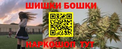 СК Шахты