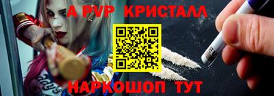 СК Шахты