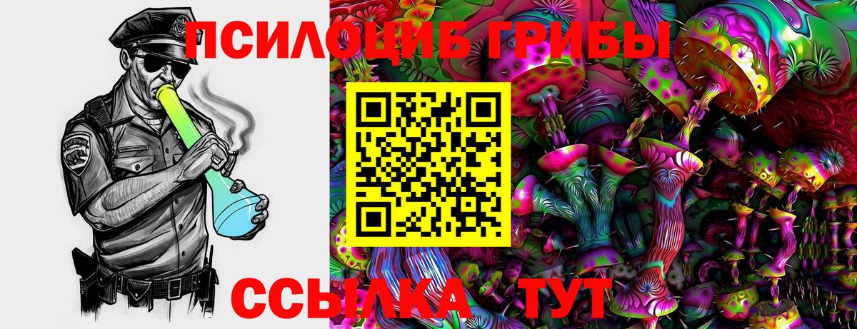 Галлюциногенные грибы GOLDEN TEACHER  Вход с VPN  Краснознаменск 